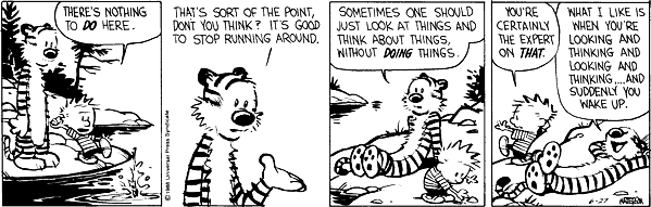 calvin-hobbes-on-doing-nothing-02